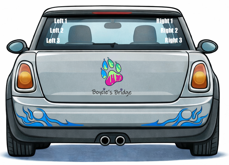 Team #40 sponsorship car